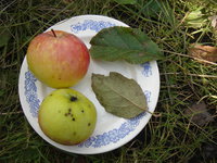 DSC03353.JPG