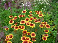 DSCN0923.JPG