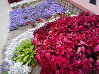 IMG_20160902_104113.jpg