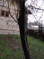 DSC00618.JPG