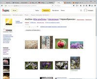 screenshot 2016-12-22 001 1.jpg