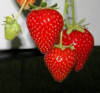 image (11).jpg