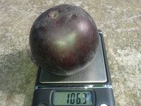 20150831_110450.jpg