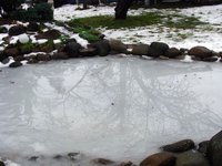 IMG_1837.JPG