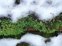 IMG_1838.JPG