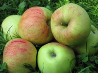 IMG_3771.JPG