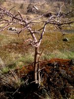IMG03814xxxx1.jpg