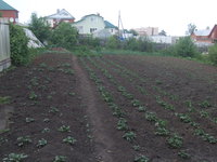 DSCF2632.JPG