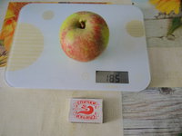 P1020650.JPG