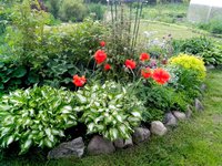 IMG_20160601_125323.jpg