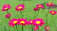 DSC06609.JPG