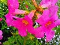 IMG_20130531_162624.jpg