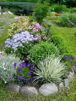 IMG_20160601_125516.jpg