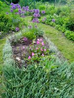 IMG_20160601_125533.jpg