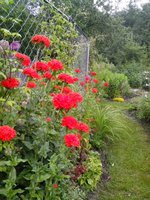 IMG_20160629_093152.jpg