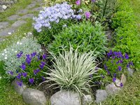 IMG_20160601_125502.jpg