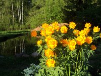 DSC03123.JPG