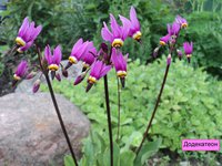 DSC05096.JPG