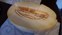 DSC07380-1.jpg