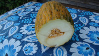 DSC09206-1.jpg