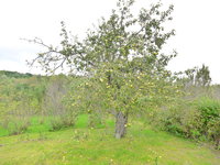 P1020580.JPG