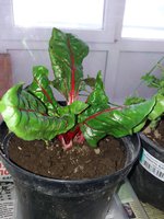 20161030_164133.jpg