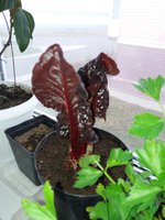 20161030_164106.jpg