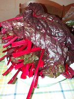 20161030_201126.jpg