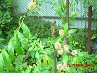 DSCN1322.JPG