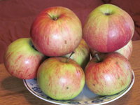 IMG_5364.JPG