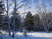 DSC02880.jpg