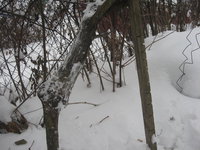 IMG_1328.JPG
