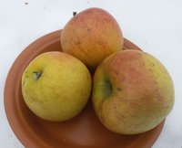 Катерина