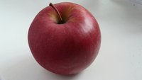 P1080341.JPG