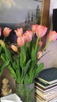20150308_125133.jpg