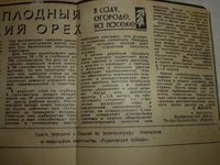 P1840531.JPG