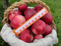 DSC055100-1.jpg