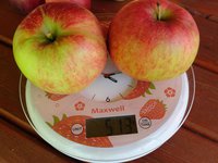 DSC05450-01.jpg