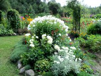 2012-08-12.JPG