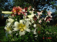 DSC06281.JPG