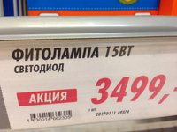 IMG_1057.JPG
