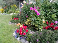 IMG_20160908_095847.jpg