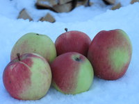 IMG_5502.JPG
