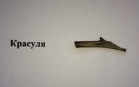 IMG_5859.JPG