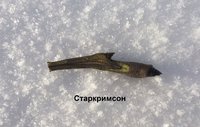 IMG_5856.JPG