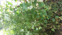 20160809_103758.jpg