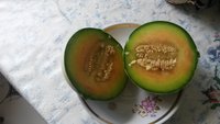 20160806_140423.jpg