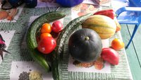 20160910_153519.jpg