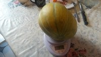 20160725_195116.jpg