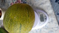 20160731_112243.jpg